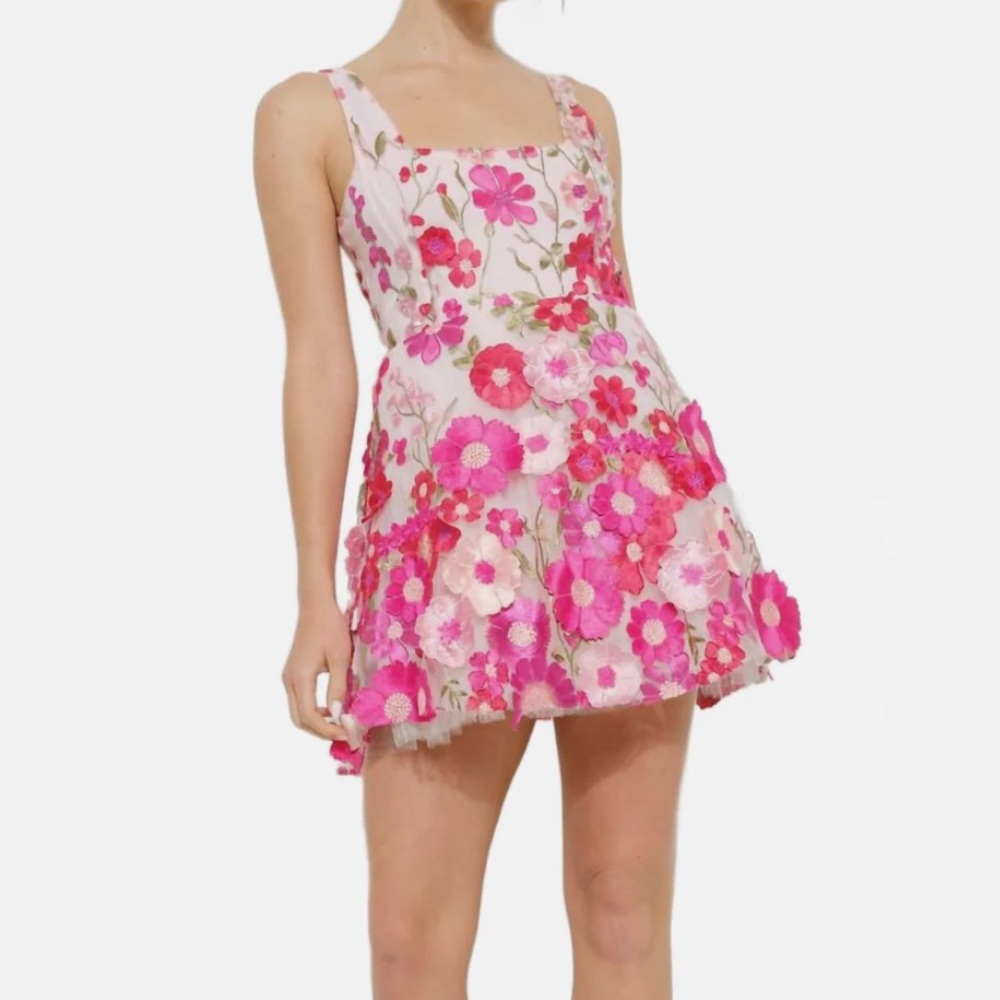 INA Different Pinks Red 3d Floral Embroidered Applique Coquette Mini Dress NWT S